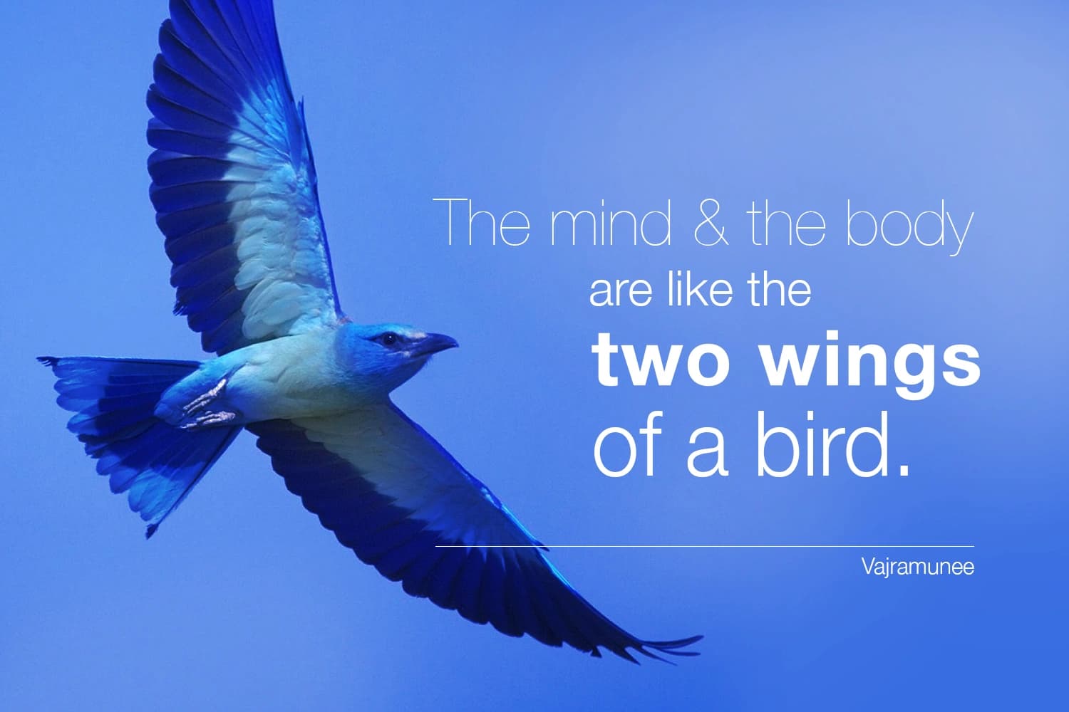 “The mind & the body are like the two wings of a bird.” — Siddhacharya Yuree Vajramunee