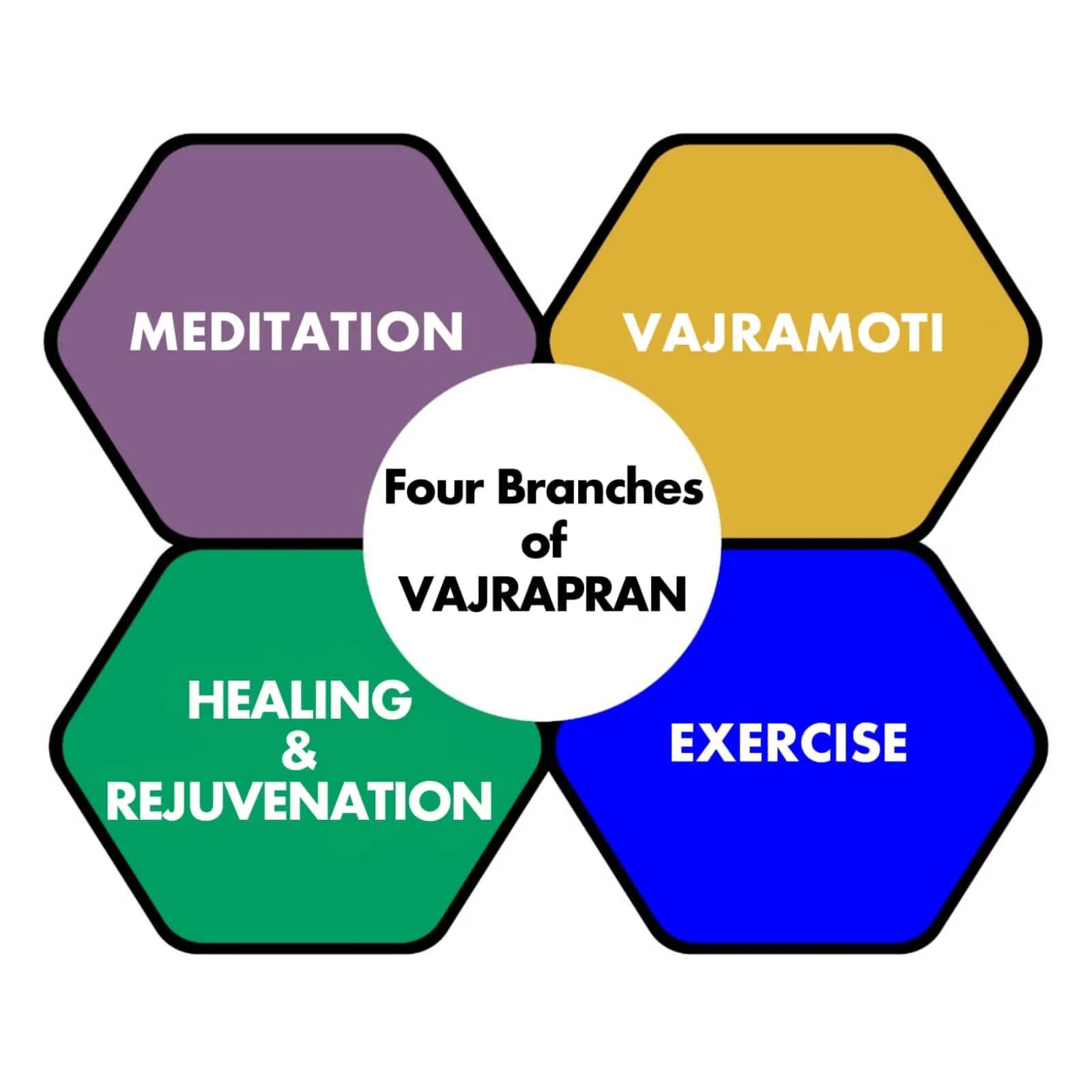 The Four Branches of Vajrapran: Meditation, Vajramoti, Healing & Rejuvenation, Exercise